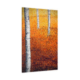 Free Fallin’ Gallery Grade Canvas Print