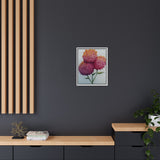Carnation Flowers Framed Canvas