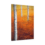 Free Fallin’ Gallery Grade Canvas Print