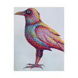 Primary Crow Matte Print